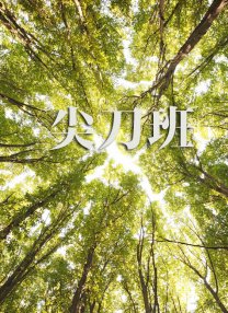 日韩毛片在线免费观看